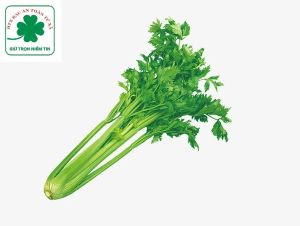 Rau Cần tây Tứ Xã