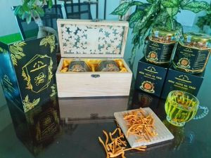Đông trùng Hạ thảo Bio Gold - Thanh Uyên