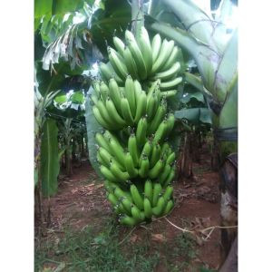Sản Phẩm Đạt Chất Lượng Thân Thiện Với Khách Hàng