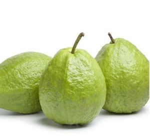 Ổi Lê Vĩnh Lại