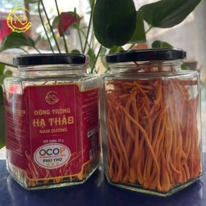 Đông trùng Hạ thảo Nam Dương