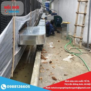 Úm Gà Con, Sưởi Gà Con Bằng Nồi Hơi Công Nghiệp - 0988 126 605